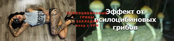марки lsd Балахна
